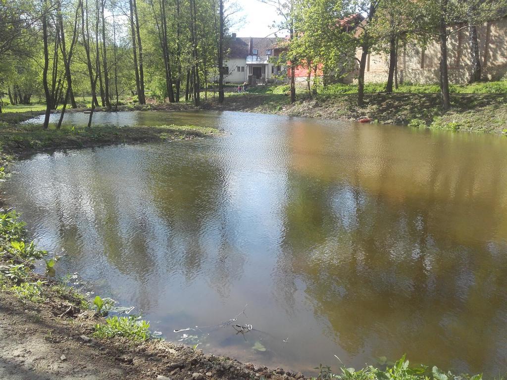 Вилла Kypruv Mlyn Kninice Экстерьер фото